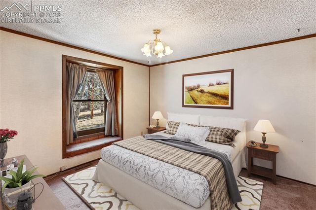 1828 Sioux Road, Florissant, CO 80816