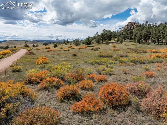 1828 Sioux Road, Florissant, CO 80816