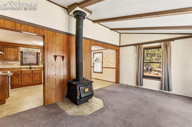 1828 Sioux Road, Florissant, CO 80816