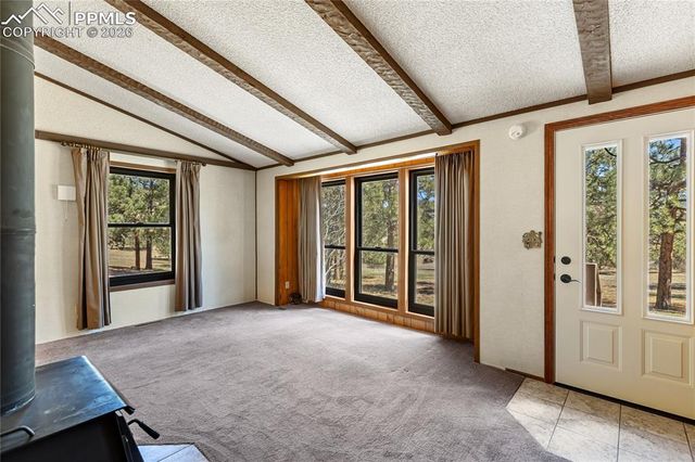 1828 Sioux Road, Florissant, CO 80816