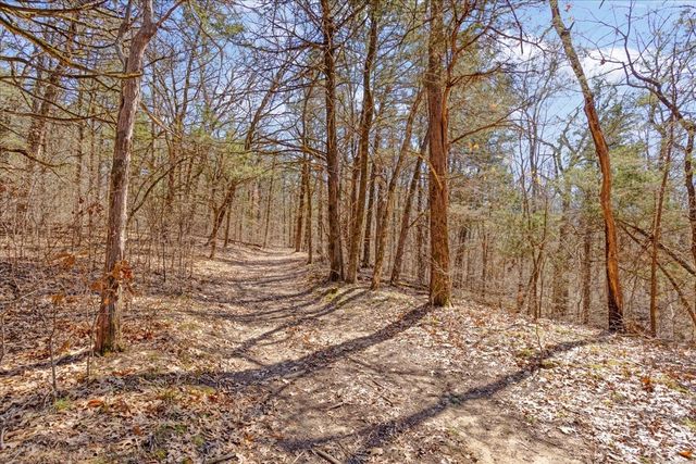 1966 County Road 2980, Windom, TX 75492