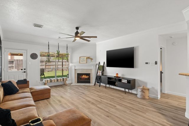 14526 Chestnut Falls Drive, Cypress, TX 77433