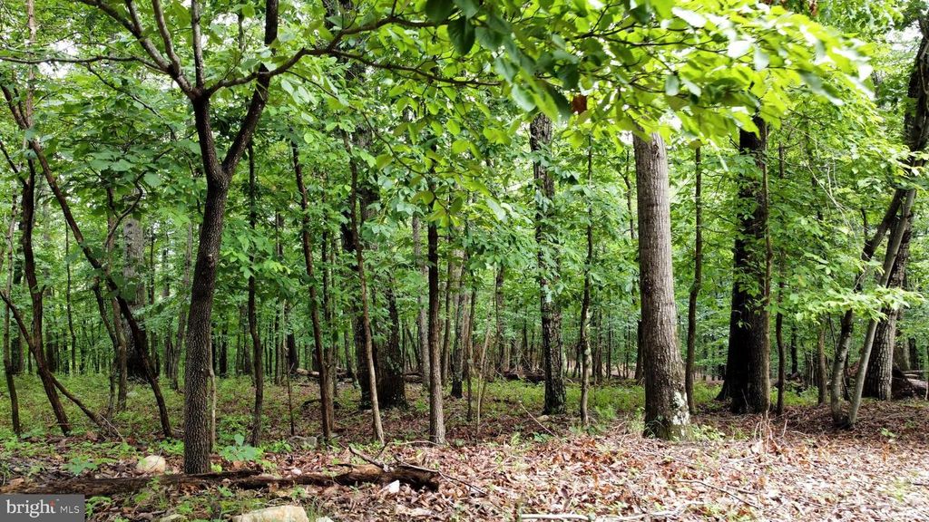 LOT 64 BRANDY RD, Front Royal, VA 22630