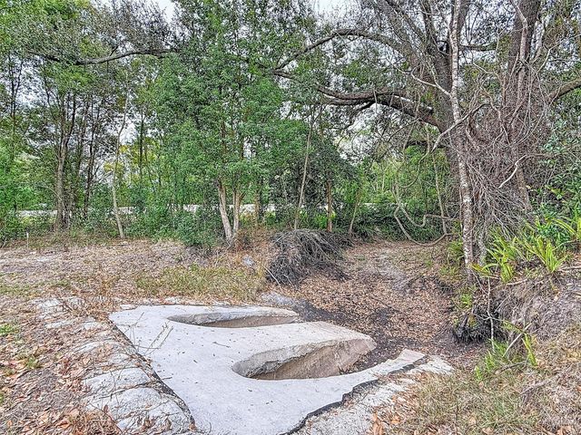 18469 PURPLE CREEK LANE, Lutz, FL 33549