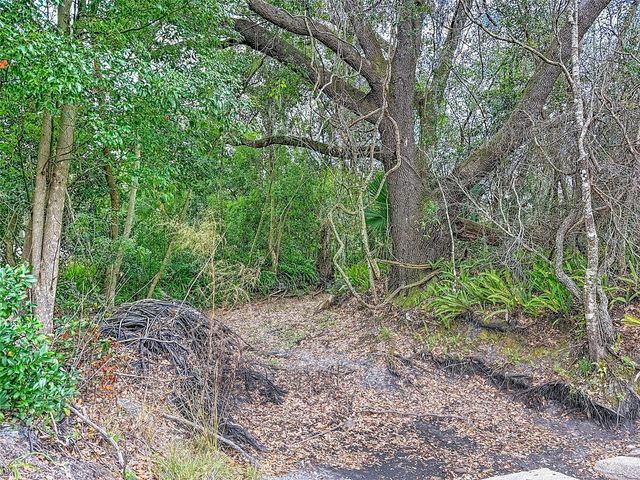 18469 PURPLE CREEK LANE, Lutz, FL 33549