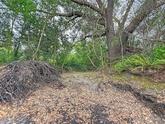 18469 PURPLE CREEK LANE, Lutz, FL 33549