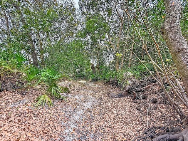 18469 PURPLE CREEK LANE, Lutz, FL 33549