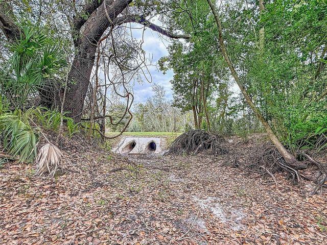 18469 PURPLE CREEK LANE, Lutz, FL 33549