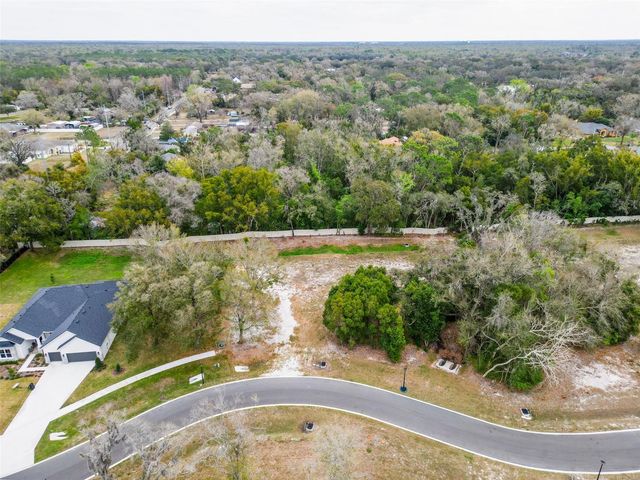 18469 PURPLE CREEK LANE, Lutz, FL 33549