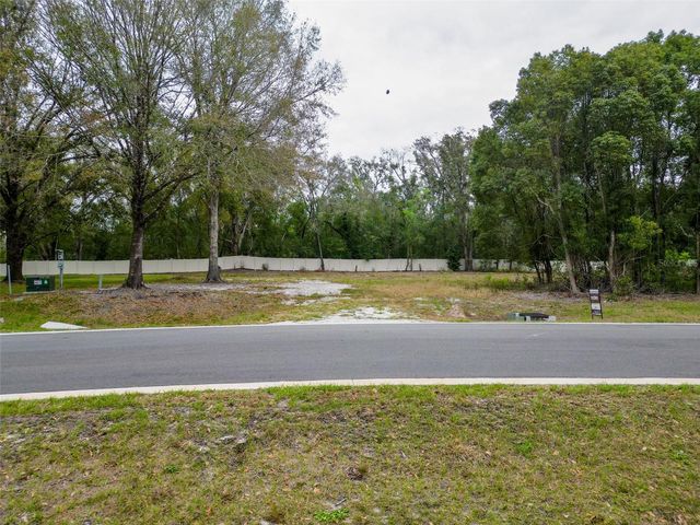 18469 PURPLE CREEK LANE, Lutz, FL 33549