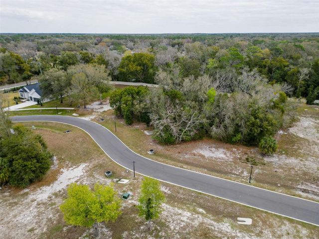 18469 PURPLE CREEK LANE, Lutz, FL 33549