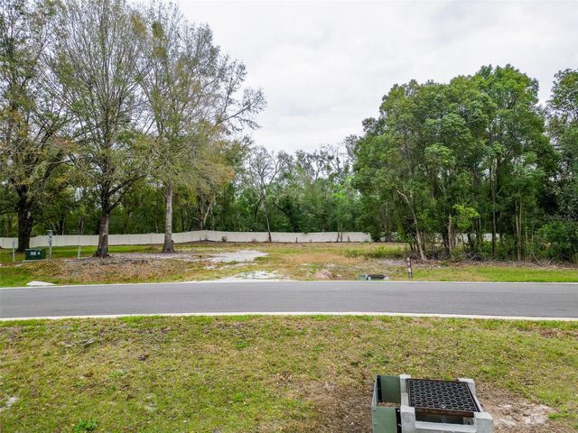 18469 PURPLE CREEK LANE, Lutz, FL 33549