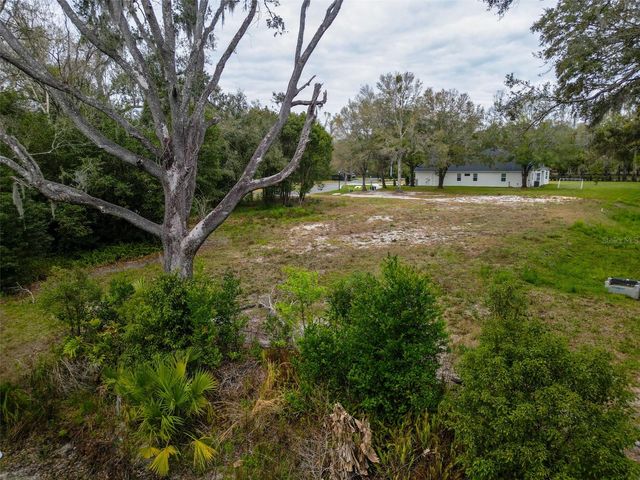 18469 PURPLE CREEK LANE, Lutz, FL 33549