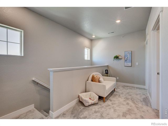 6776 Maple Leaf Drive, Timnath, CO 80547