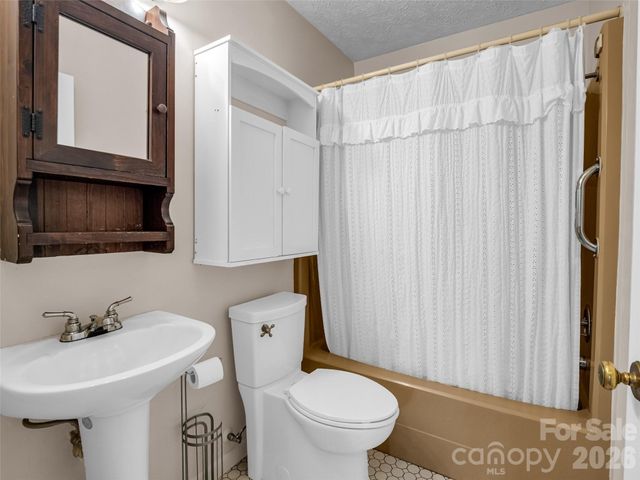 1 Alpine Way, Swannanoa, NC 28778