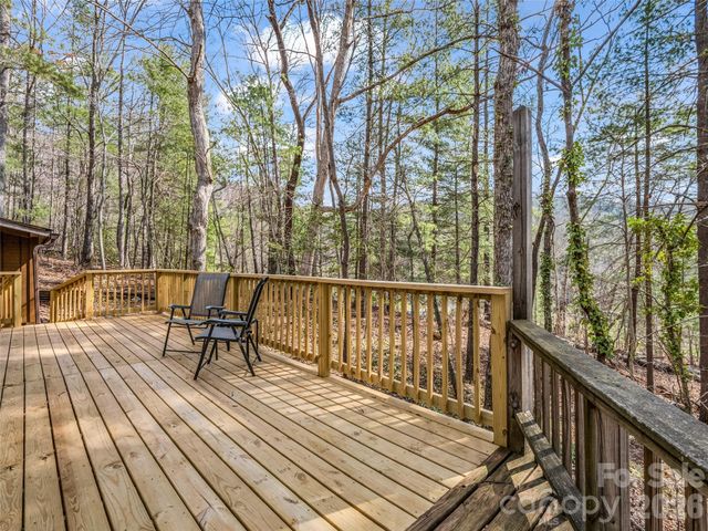 1 Alpine Way, Swannanoa, NC 28778