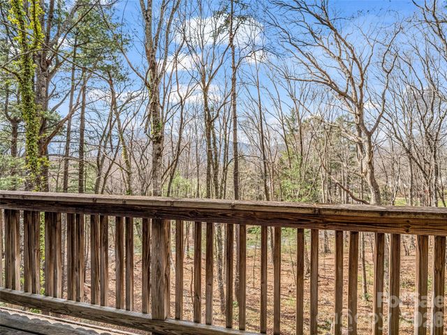 1 Alpine Way, Swannanoa, NC 28778