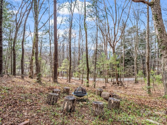 1 Alpine Way, Swannanoa, NC 28778