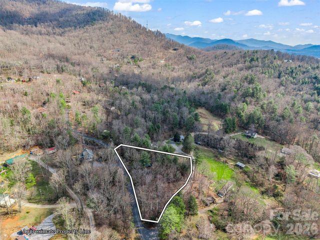 1 Alpine Way, Swannanoa, NC 28778