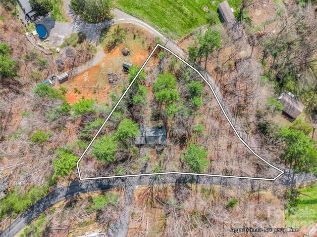 1 Alpine Way, Swannanoa, NC 28778