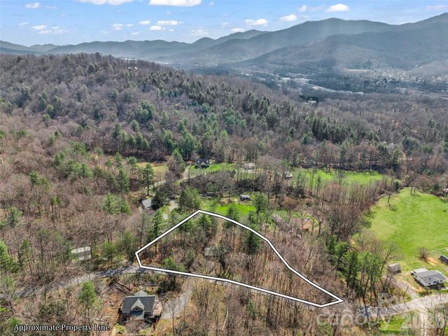 1 Alpine Way, Swannanoa, NC 28778