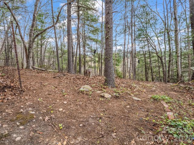 1 Alpine Way, Swannanoa, NC 28778