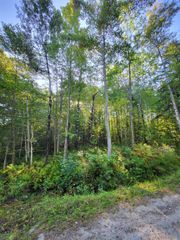 00 Swazey Lane, Bethlehem, NH 03574