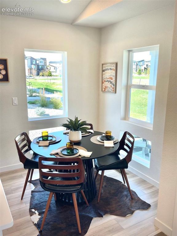 6360 Seasons Bay Drive, Colorado Springs, CO 80922 — photo 5
