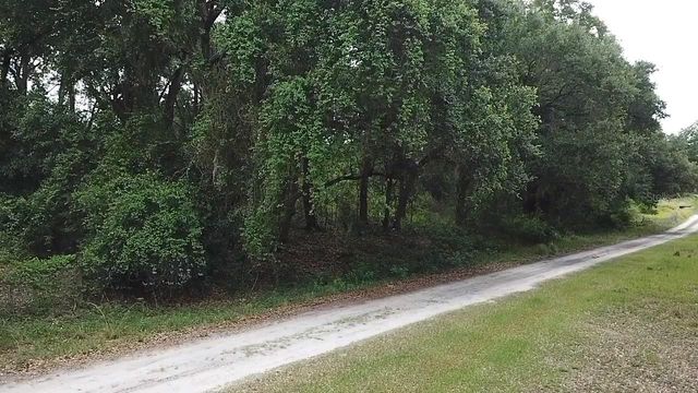 SE 175TH PLACE, Umatilla, FL 32784