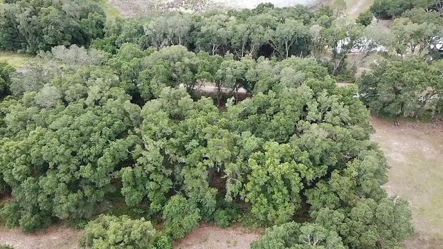 SE 175TH PLACE, Umatilla, FL 32784