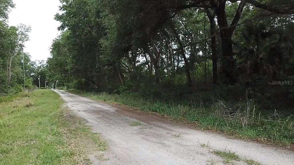 SE 175TH PLACE, Umatilla, FL 32784