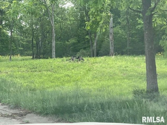 3640 (Lot 19) RIDGE CREST Drive, Mt Vernon, IL 62864
