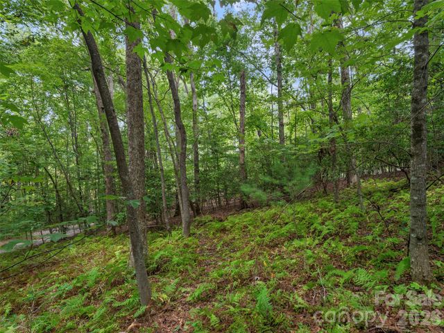 9999 Royal Knoll Drive, Hendersonville, NC 28792