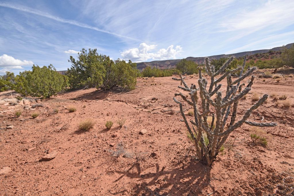 Image 5 of property listing at Lot 16 Unit 2 Jemez Canyon Estates, Jemez Pueblo, NM 87024
