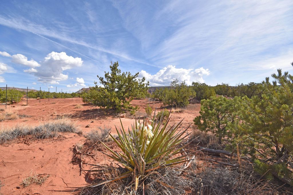 Image 7 of property listing at Lot 16 Unit 2 Jemez Canyon Estates, Jemez Pueblo, NM 87024