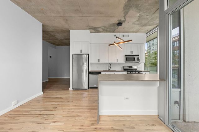 1720 S Michigan Avenue 208, Chicago, IL 60616