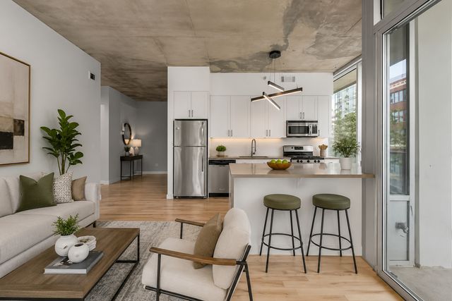 1720 S Michigan Avenue 208, Chicago, IL 60616
