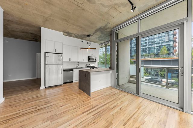 1720 S Michigan Avenue 208, Chicago, IL 60616