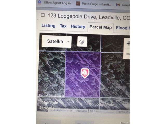 123 Lodgepole Dr, Leadville, CO 80461