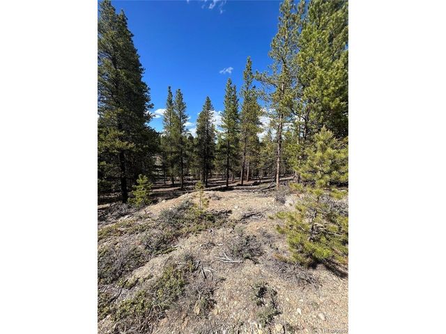 123 Lodgepole Dr, Leadville, CO 80461