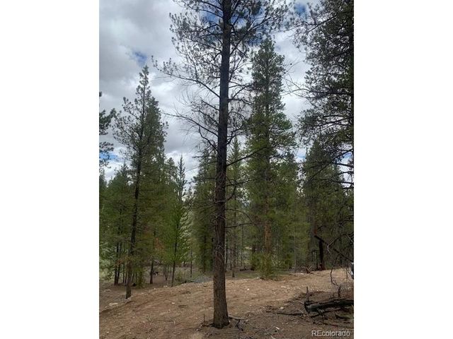 123 Lodgepole Dr, Leadville, CO 80461