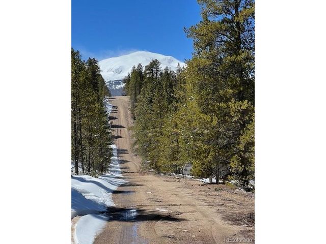 123 Lodgepole Dr, Leadville, CO 80461