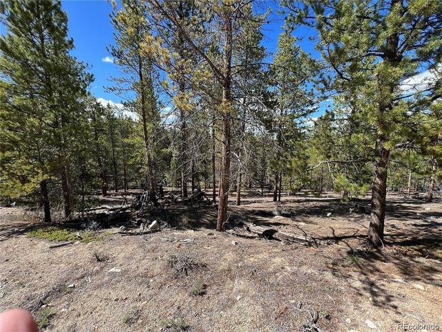 123 Lodgepole Dr, Leadville, CO 80461