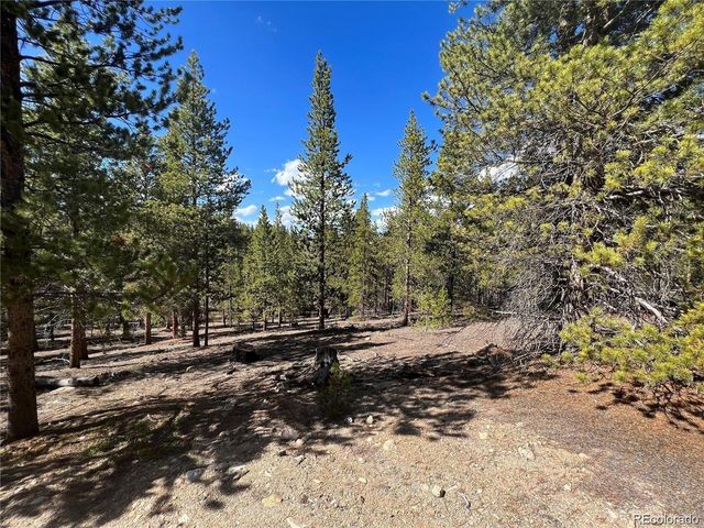 123 Lodgepole Dr, Leadville, CO 80461