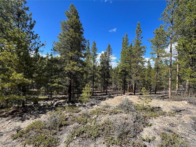 123 Lodgepole Dr, Leadville, CO 80461