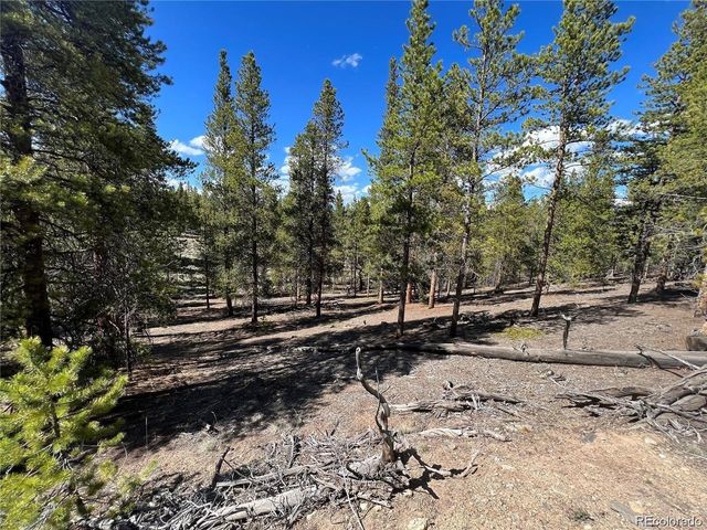 123 Lodgepole Dr, Leadville, CO 80461