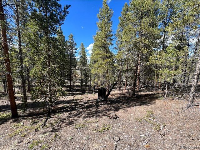 123 Lodgepole Dr, Leadville, CO 80461