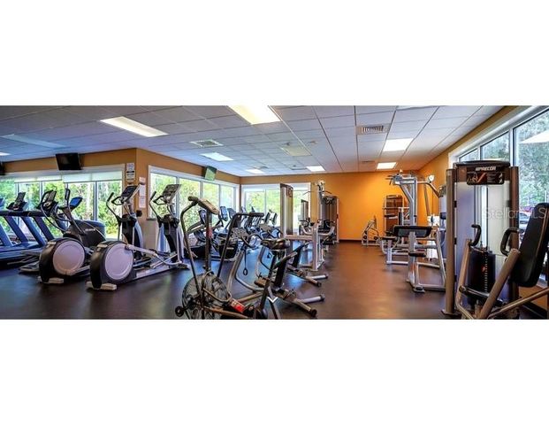 11751 AINTREE COURT, Trinity, FL 34655