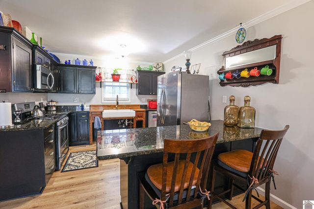 481 W Vaughn Rd, Mayfield, KY 42066