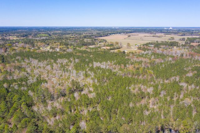 0 Two Churches Road, Harleyville, SC 29488